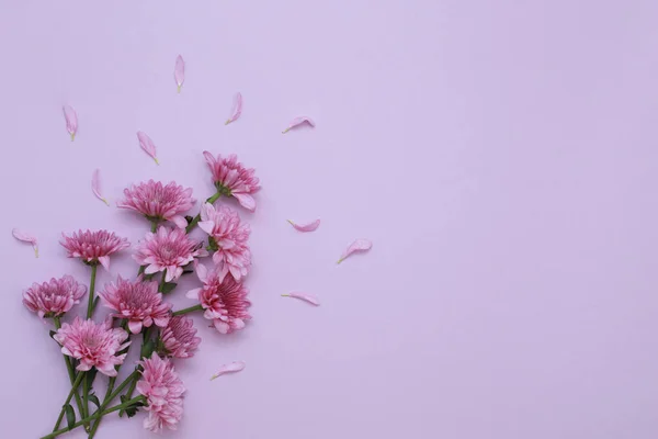 Kwiat Wzorzec Widok Góry Papierze Koloru Tła — Zdjęcie stockowe