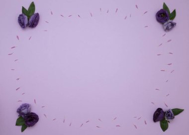 Çiçek desen üstten görünüm renk kağıt üzerinde arka planı için