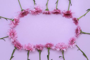 Çiçek desen üstten görünüm renk kağıt üzerinde arka planı için