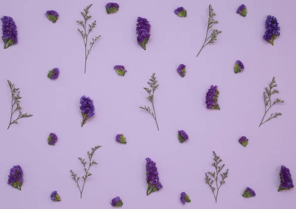 Květinový Vzor Pohled Shora Barevný Papír Pro Pozadí — Stock fotografie