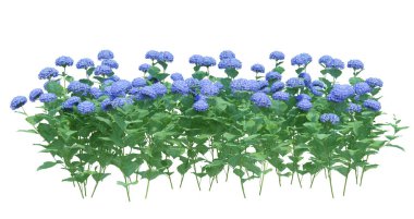 3d Render Fırça Ağacı beyaz arkaplanda izole edildi