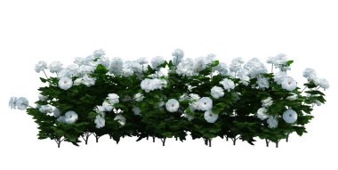 3d Render Brush Tree Isolated  on white background clipart