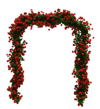 3d Render Fırça Ağacı beyaz arkaplanda izole edildi