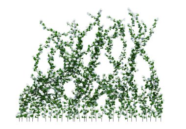 3d Render Brush Tree Isolated  on white background clipart