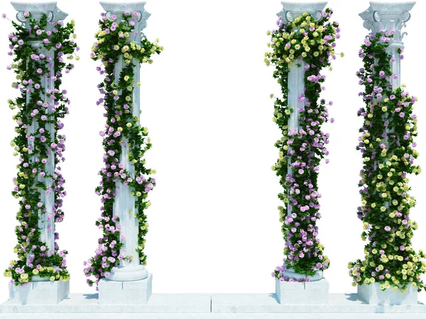3d Render Fırça Ağacı beyaz arkaplanda izole edildi