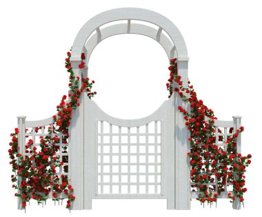 3d Render Ivy Bitkileri beyaz arkaplanda izole edildi