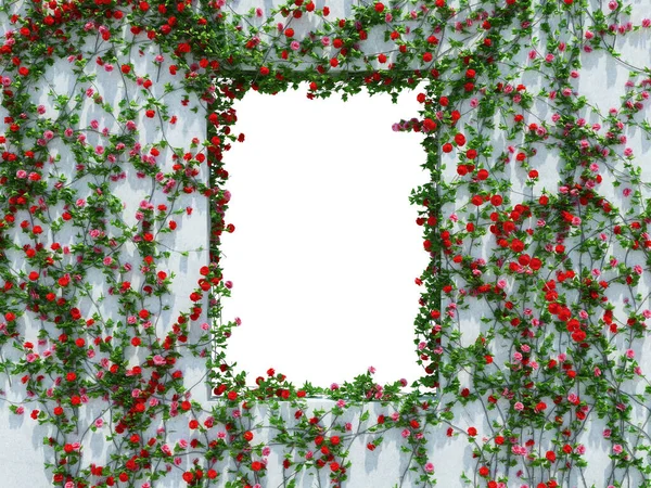 Vykreslit Ivy Rostliny Izolované Bílém Pozadí — Stock fotografie