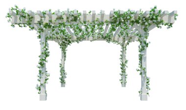 3d Render Ivy Plants  Isolated  on white background clipart
