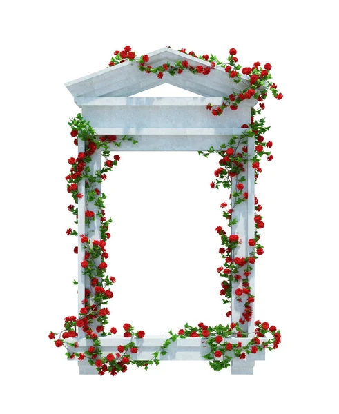 Render Ivy Plants Isolato Sfondo Bianco — Foto Stock