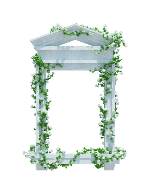 Render Ivy Rośliny Izolowane Białym Tle — Zdjęcie stockowe