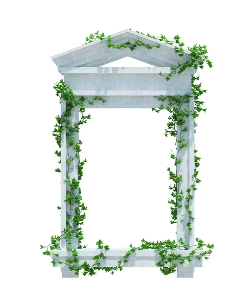 Renderizar Plantas Hera Isolado Fundo Branco — Fotografia de Stock