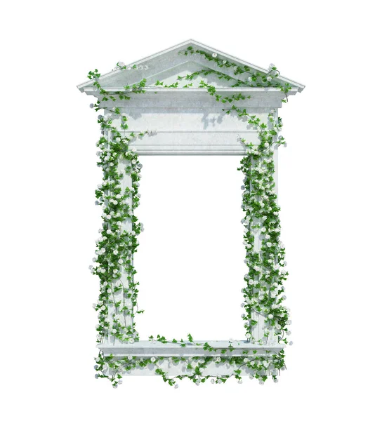 Render Ivy Plantes Isolées Sur Fond Blanc — Photo