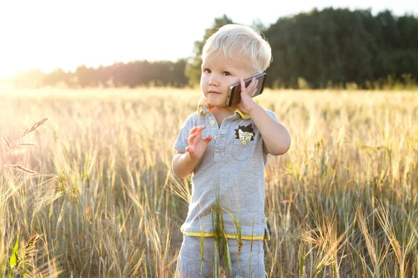 Bedårande Barn Talar Mobiltelefon Står Ett Fält Råg Den Nedgående Stockfoto