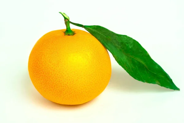 Mandarinen Isoliert Mandarine Orange Früchte Auf Weißem Hintergrund — Stockfoto