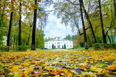 Şehir parkında sokakta renkli sonbahar ağaçları.