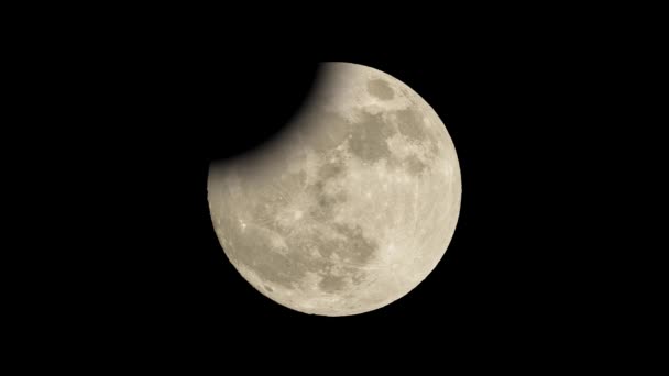 Animación Del Eclipse Lunar Luna Roja Sangre — Vídeo de stock