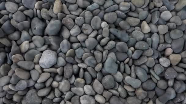 ペブル ビーチ海岸岩 における水効果によって覆われているパターン テクスチャ — ストック動画
