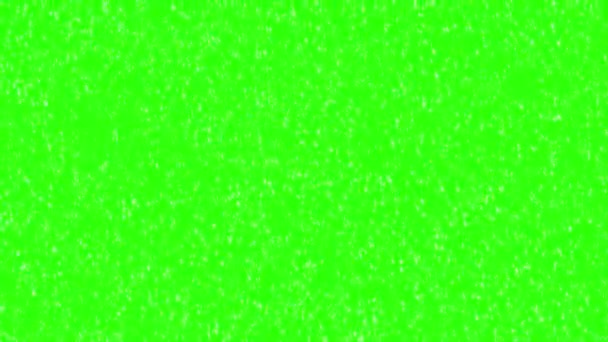 Green Screen Snow Effect Green Screen Background Snow Effect Animation — Stock Video