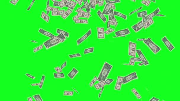 Green Screen Dollar Bollette Effetti Pioggia Animazione Soldi Pioggia Animazione — Video Stock