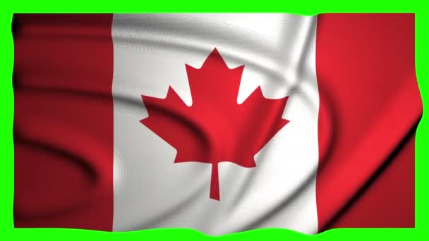 Canadian flag in the wind — Stock Video © celalbulus #72027787