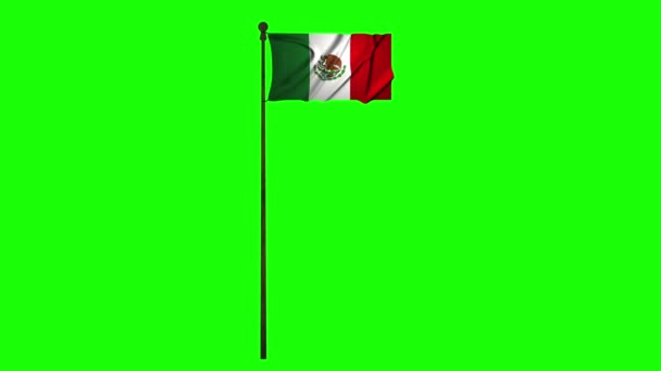Mexiko Animace Vlajka Animace Zelená Obrazovka Animace Mexiko Video Příznak — Stock video