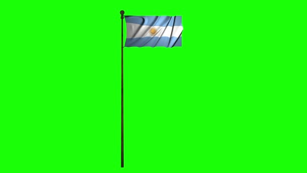 Argentina Animation Flag Animation Green Animation Argentina Waving Flag Waving — стоковое видео