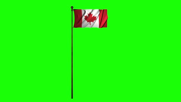 Canada Animatie Vlag Animatie Groen Scherm Animatie Canada Zwaaien Vlag — Stockvideo