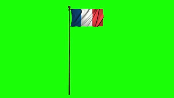 França Animação Bandeira Animação Tela Verde Animação França Acenando Bandeira — Vídeo de Stock