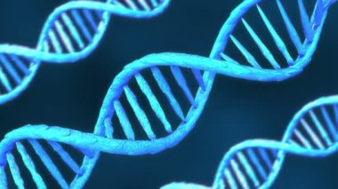DNA animasyonu rna asit animasyonu, sarmal animasyonu DNA 3d 4k rna asit 3d 4d sarmal 3d 4k DNA genetik sarmal genetik DNA kromozomu rna asit kromozomu, insan hücreleri