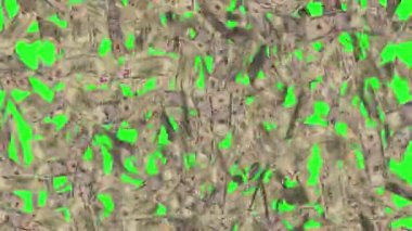 Yeşil Ekran Beş Dolar Yağmur Etkisi Yüksek Yoğunluklu Animasyon, Para Yağmuru Yeşil Ekran 'da 4k animasyon, Para Doları Yağmur Etkisi Canlandırması Yeşil Ekran, 5 Dolar Yağmur Yağışı