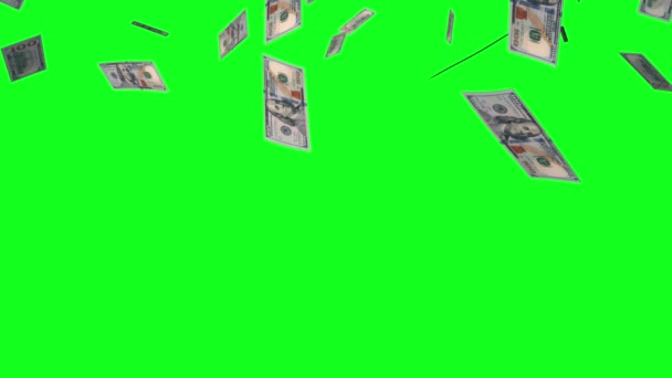 Green Screen Dollar Bollette Effetti Pioggia Animazione Soldi Pioggia Animazione — Video Stock