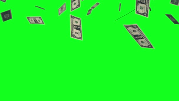 绿屏美元钞票雨效果动画 钱雨4K动画在绿屏 金钱美元雨效果动画绿屏 美元钞票落雨 — 图库视频影像