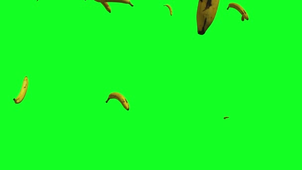 Zielony Ekran Deszcz Banany Spada Animacja — Wideo stockowe
