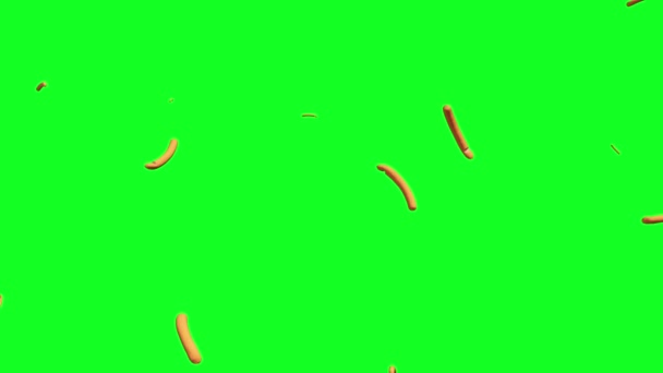 Écran Vert Pluie Hot Dog Faling Animation — Video