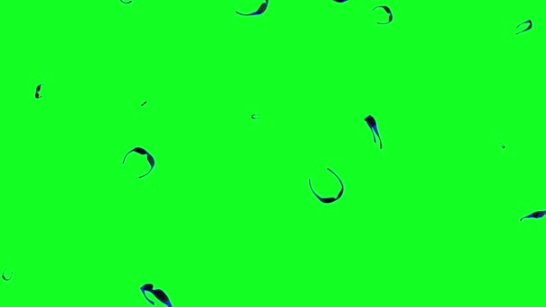 绿色荧幕雨伞蓝色太阳镜落下视觉眼镜动画3D — 图库视频影像