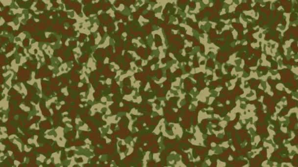 Militär Kamouflage Effekt Mönster Bakgrund — Stockvideo