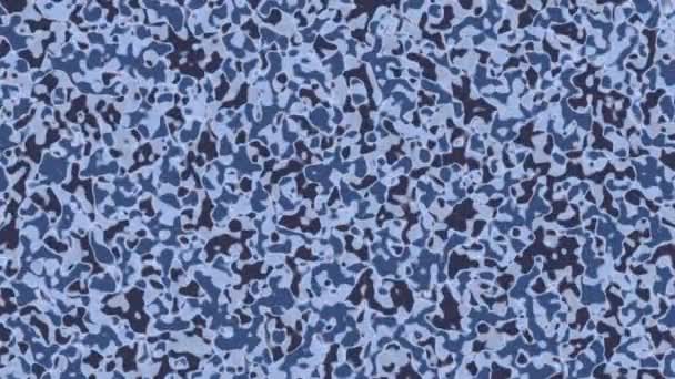 Pattern Camouflage Military Effect Background — Stock Video