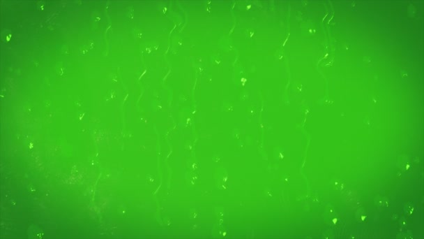 free green screen falling hearts free green screen falling hearts