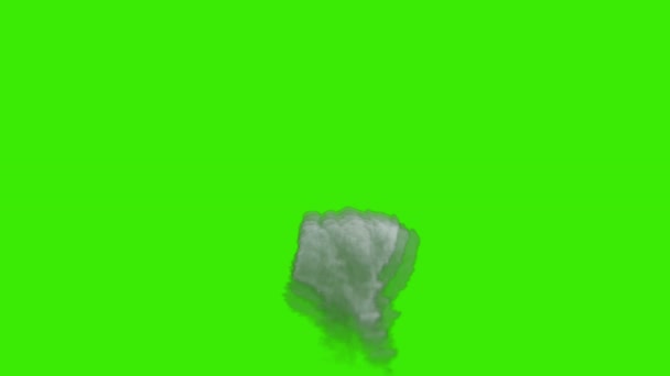 爆発効果煙効果緑の画面効果爆発爆弾煙緑の画面爆弾爆発雲緑の画面雲爆発煙霧緑の画面霧霧クロマキー — ストック動画