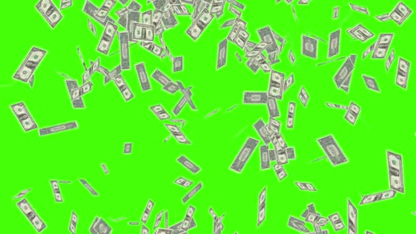 Grön Skärm Dollar Bills Regn Effekter Animation Pengar Regn Företag — Stockvideo