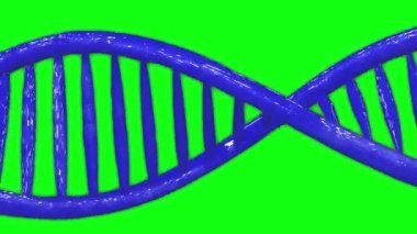 DNA animasyonu yeşil ekran animasyonu, sarmal animasyonu DNA 3d yeşil ekran 3d 4k sarmal 3d 4k, DNA genetik yeşil ekran genetik sarmal genetik DNA kromozomu, yeşil ekran sarmal kromozomu