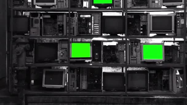 Oficina Tela Verde Computadores Antigos — Vídeo de Stock