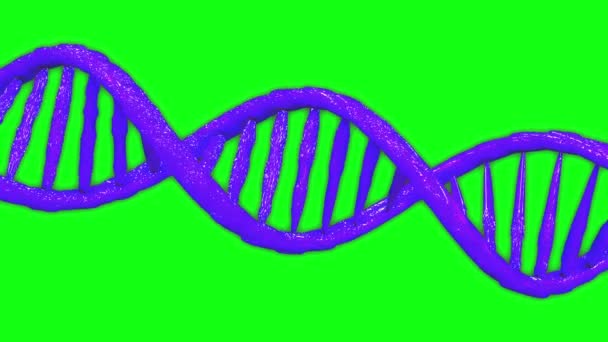 Dna Animation Green Screen Animation Helix Animation Dna Green Screen — Stock Video
