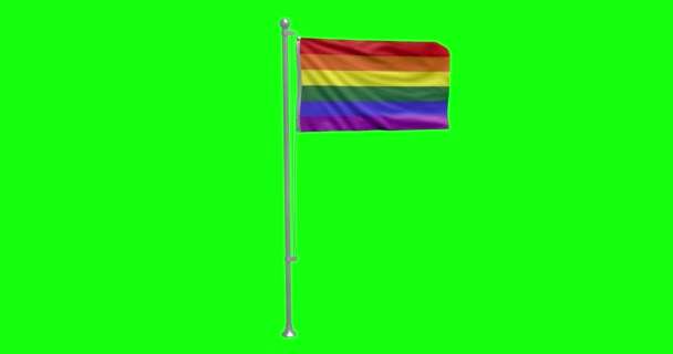 Polo Bandera Pantalla Verde Lgbtq Arco Iris Ondeando Orgullo Derechos — Vídeos de Stock