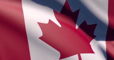 Gerçekçi 3d HD bayrak Kanadalı dalgalanması Kanada animasyon arka planını yakınlaştırıyor