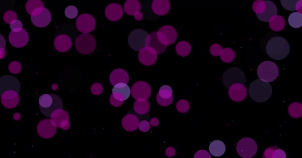 Paarse Cirkels Bollen Stippen Onscherpe Bokeh Zwarte Achtergrond Polka Abstracte — Stockvideo