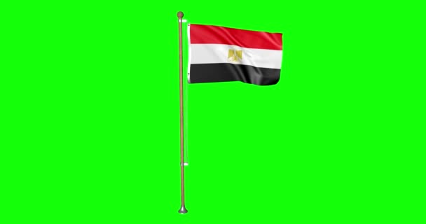 Tela Verde Loop Realista Bandeira Egípcia Egito Com Mastro Bandeira — Vídeo de Stock