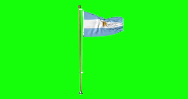 Πράσινη Οθόνη Hiper Ρεαλιστική Σημαία Βρόχο Της Αργεντινής Κοντάρι Σημαία — Αρχείο Βίντεο
