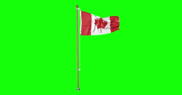 Grön Skärm Hiper Realistisk Loop Flagga Kanada Med Flaggstång Viftande — Stockvideo