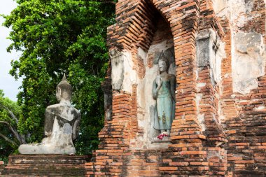 Wat Mahathat, Buda heykeli bir Budist Tapınağı şehir Ayutthaya tarihi Park, Tayland olduğunu,